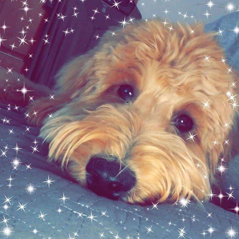 Meet your Posher, Denise